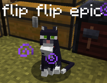 File:Flip Flip Epic.png